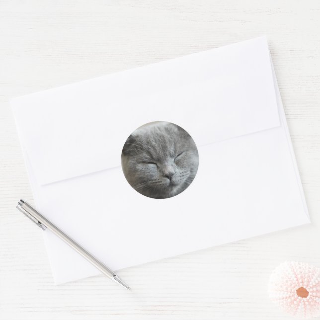 Pegatina Redonda Personalizado Cute Gray Kitty Cat Photo (Sobre)