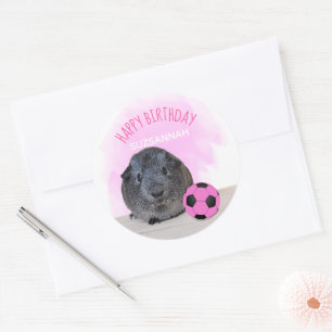 Pegatina Redonda Personalizado de cumpleaños de la pelota rosa de c
