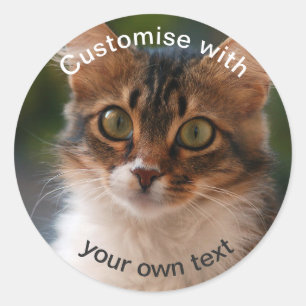 Pegatina Redonda Personalizado Fluffy Kitten con los ojos verdes