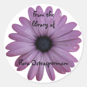 Pegatina Redonda Personalizado Osteospermum Purple Daisy Flower