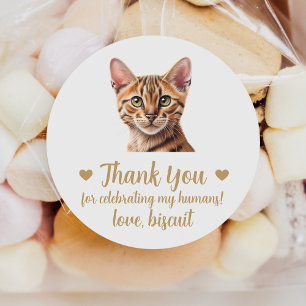 Pegatina Redonda Personalizado Tabby Cat Wedding Favor de los Pegat