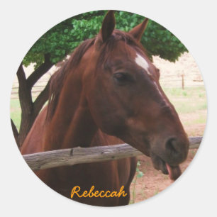 Pegatina Redonda Personalizar caballo