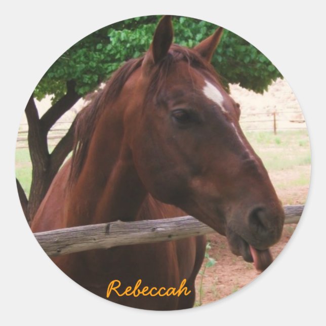 Pegatina Redonda Personalizar caballo (Anverso)
