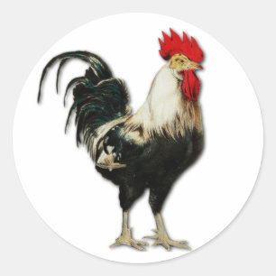 Pegatina Redonda Personalizar de Pollo Rojo