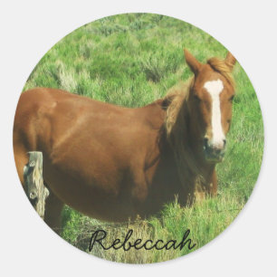 Pegatina Redonda Personalizar el caballo de nombres