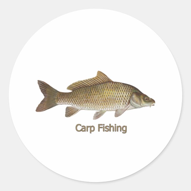 Pegatina Redonda Pesca de carpa (Anverso)