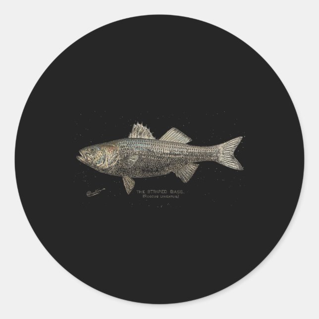 Pegatina Redonda Pesca de lubina rayada B (Anverso)