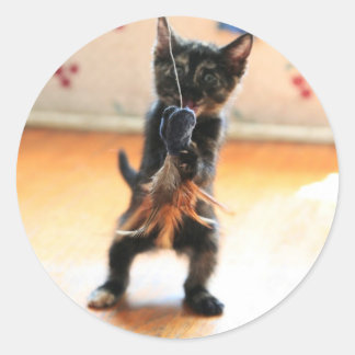 Pegatina Redonda Pesca de mosca gitana