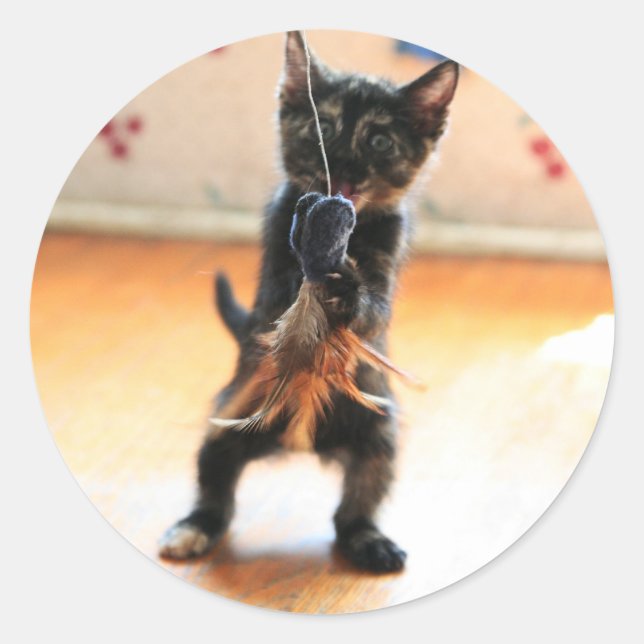 Pegatina Redonda Pesca de mosca gitana (Anverso)