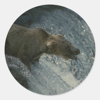 Pegatina Redonda Pesca de oso pardo para Salmón