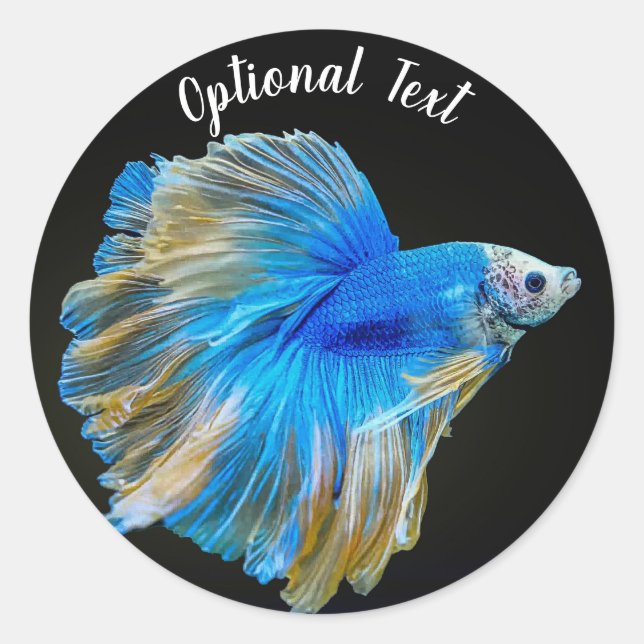 Pegatina Redonda Pescado azul Betta (Anverso)