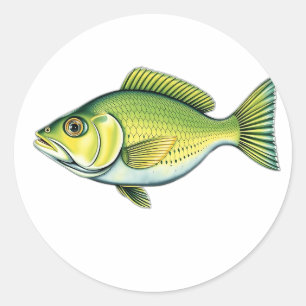 Pegatina Redonda Pescado verde vivo con patrones de ola