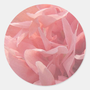 Pegatina Redonda Pétalos de amapola rosa
