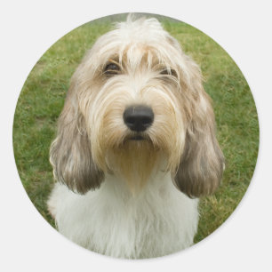 Pegatina Redonda Petit Basette Griffon Vendeen