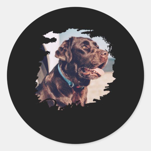 Pegatina Redonda Pets Simple Modern Cool Tygraphy Name And Photo  (Anverso)