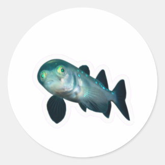 Pegatina Redonda Pez Barreleye de Mar Profundo Pegatina, Cabeza Tra