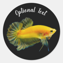 Pegatina Redonda Pez luchador de betta amarillo