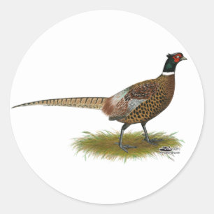 Pegatina Redonda Pheasant Rooster