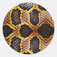 Piel de serpiente anaconda