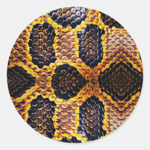 Pegatina Redonda Piel de serpiente anaconda