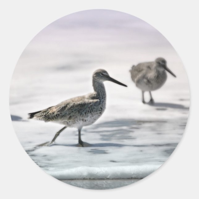 Pegatina Redonda Pieles de arena (Anverso)