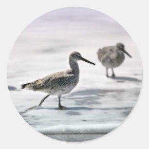 Pegatina Redonda Pieles de arena