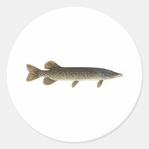 Pegatina Redonda Pike septentrional