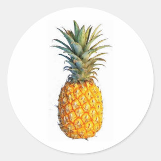 Pegatina Redonda piña