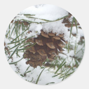 Pegatina Redonda Piña de Pino Nevada I Fotografía de Naturaleza Inv