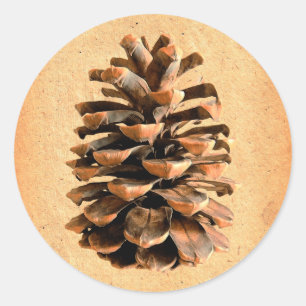Pegatina Redonda Pine Cone
