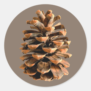 Pegatina Redonda Pine Cone