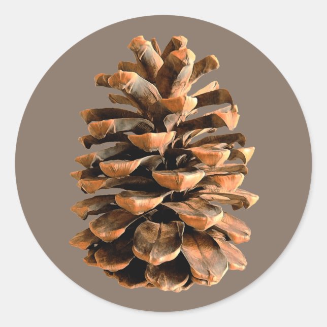 Pegatina Redonda Pine Cone (Anverso)