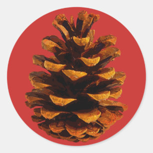 Pegatina Redonda Pinecone rústica naturaleza marrón rojo