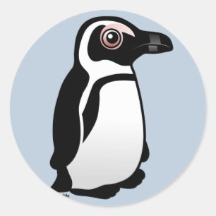 Pegatina Redonda Pingüino africano