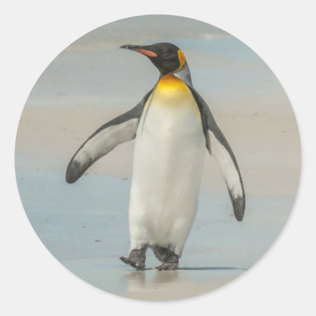Pegatina Redonda Pingüino caminando por la playa (Anverso)