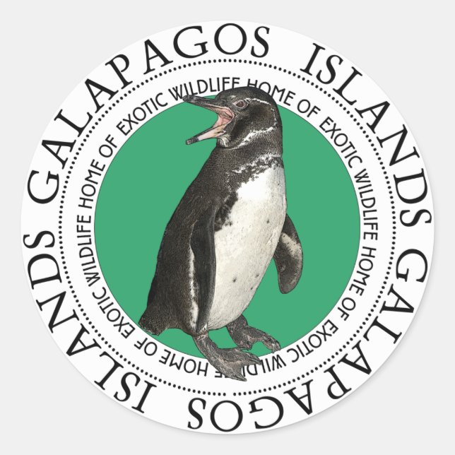 Pegatina Redonda Pingüino de las Islas Galápagos (Anverso)