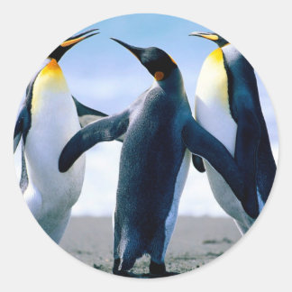 Pegatina Redonda Pingüinos de Alaska