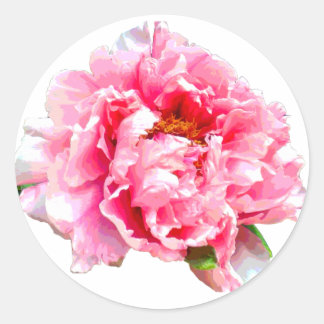 PEGATINA REDONDA PINK PEONY