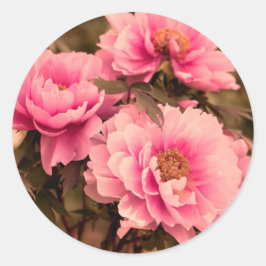 Pegatina Redonda Pink  Peony Flower