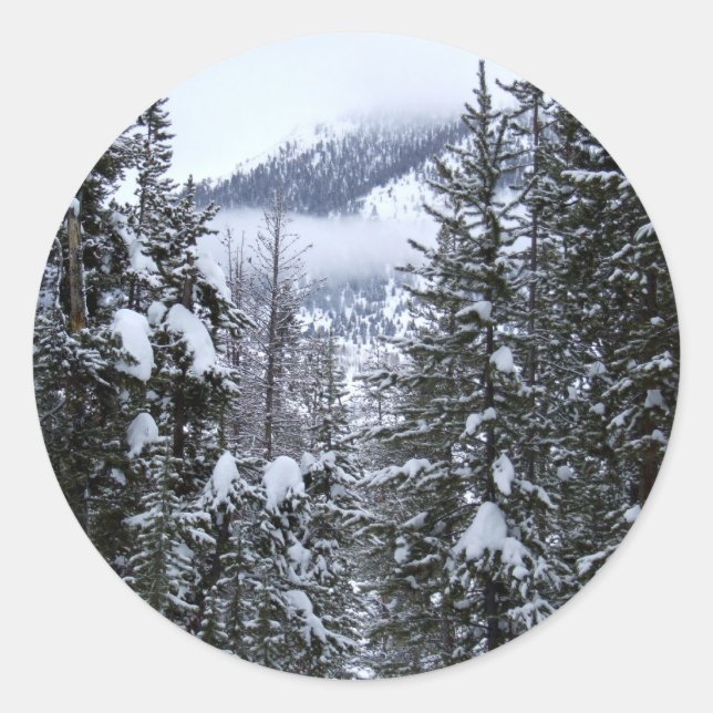 Pegatina Redonda Pinos (Anverso)