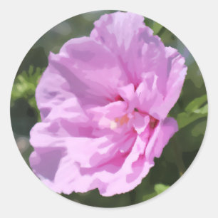 Pegatina Redonda Pintado digital de flores rosadas dobles hibiscus