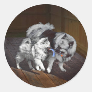 Pegatina Redonda Pintado Keeshond Playtime - Arte Perro Original.