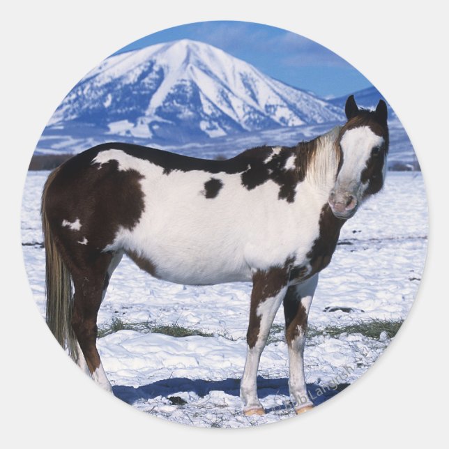 Pegatina Redonda Pintando el caballo de pie en la nieve (Anverso)