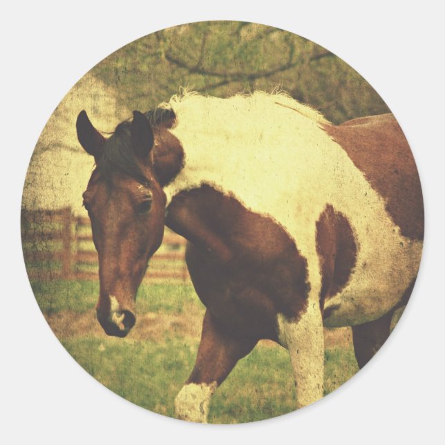 Pegatina Redonda Pinto (Anverso)