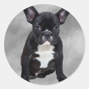 Pegatina Redonda Pintura al óleo de acuarela de Bulldog Francés sen