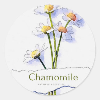 Pegatina Redonda Pintura de acuarela de época de Chamomile