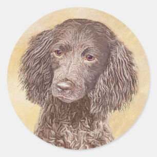 Pegatina Redonda Pintura de American Water Spaniel - Arte Original