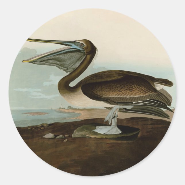 Pegatina Redonda Pintura de arte pelicano John James Audubon Brown (Anverso)