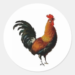 Pegatina Redonda Pintura de gallo verde y dorado