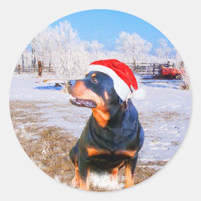 Pegatina Redonda Pintura de Navidades de perro de Rottweiler (Anverso)